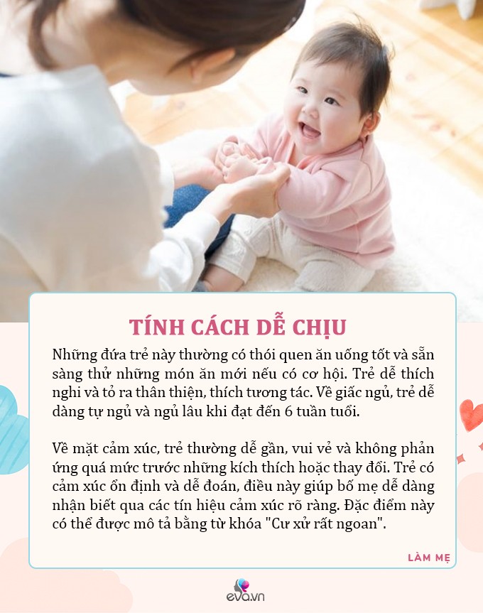 5 kiểu tính khí đặc trưng của trẻ sơ sinh mới chào đời, kiểu thứ 4 được gọi là đứa trẻ thiên thần - 5