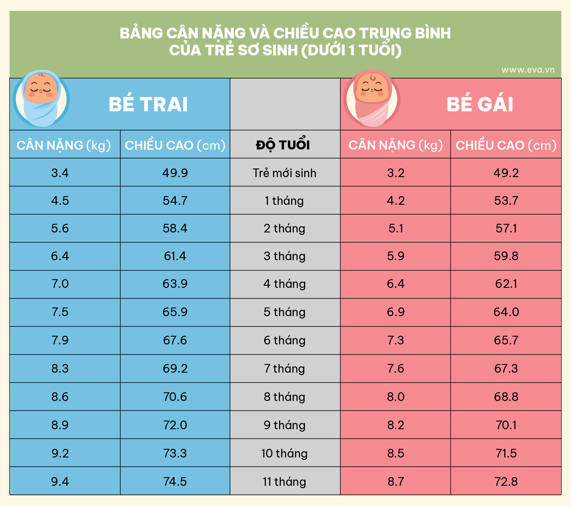 Infographic: Bảng cân nặng và chiều cao của trẻ từ lúc sinh đến 8 tuổi - 3