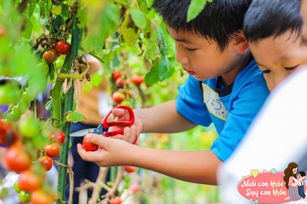 Dạy con theo "Hiệu ứng chuột đói", đứa trẻ lớn lên sẽ có một cuộc sống viên mãn không ngờ - 5
