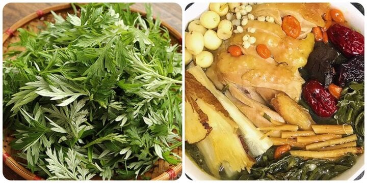 Rau ngải cứu rất tốt cho sức khoẻ