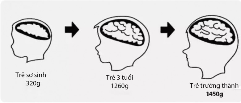 Giáo sư Harvard: Có duy nhất 3 &#34;cơ hội&#34; trong đời giúp trẻ tăng IQ, bỏ lỡ sẽ khó tìm lại - 2