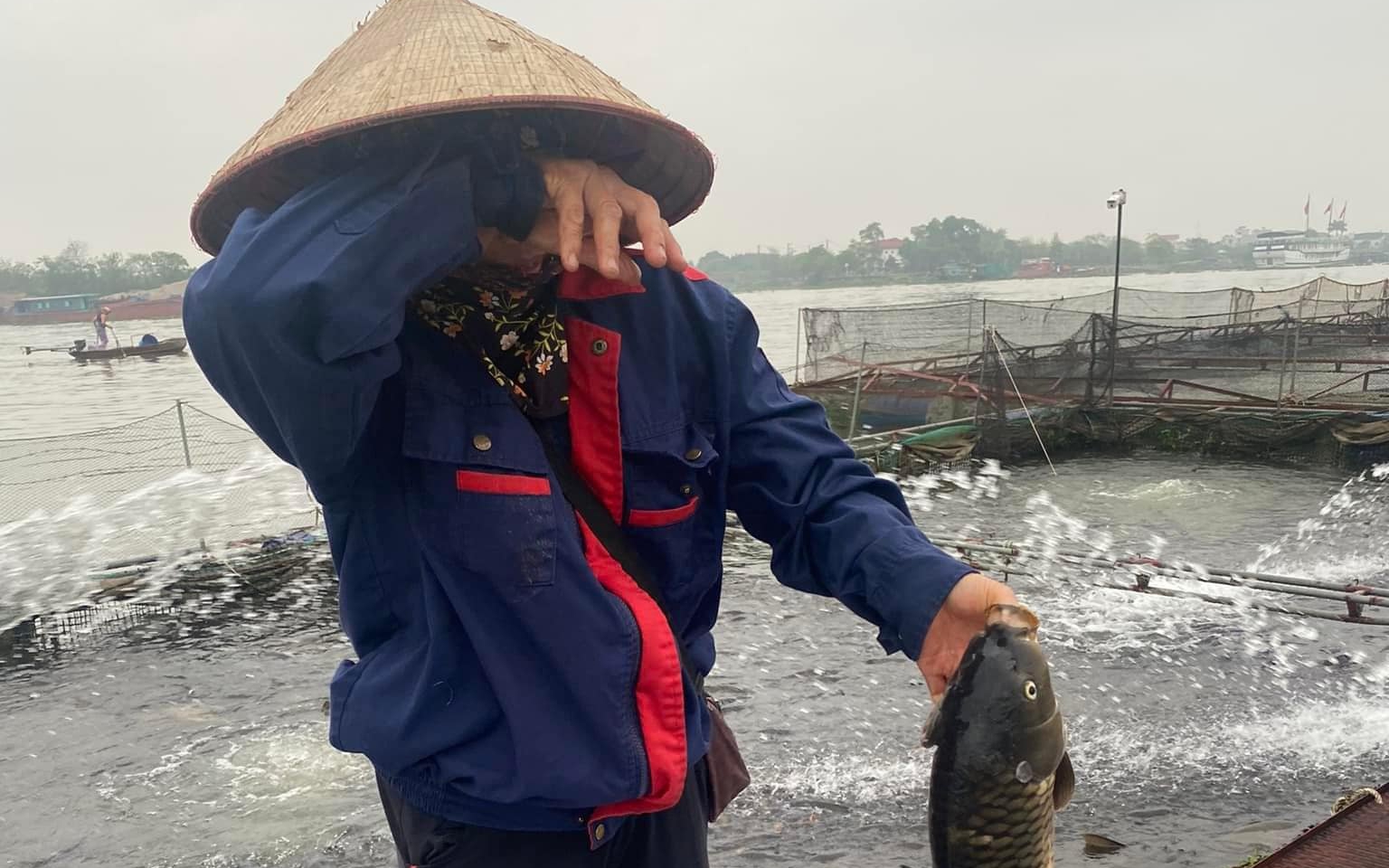 'Giật mình' với công dụng của loài cá phổ biến trên thế giới mà không phải ai cũng biết- Ảnh 5. Cá chết không thuyên giảm, người dân Hải Dương "kiệt quệ" khi phải đối mặt với mức thiệt hại lớn