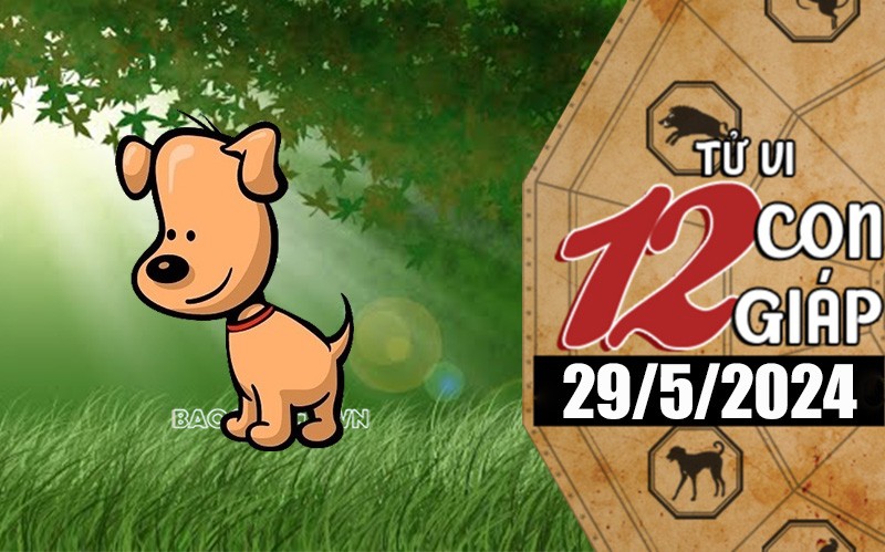 Tử vi hôm nay, xem tử vi 12 con giáp hôm nay ngày 29/5/2024: Tuổi Tuất cải thiện nguồn tài chính Tử vi hôm nay, xem tử vi 12 con giáp hôm nay ngày 29/5/2024: Tuổi Tuất cải thiện nguồn tài chính