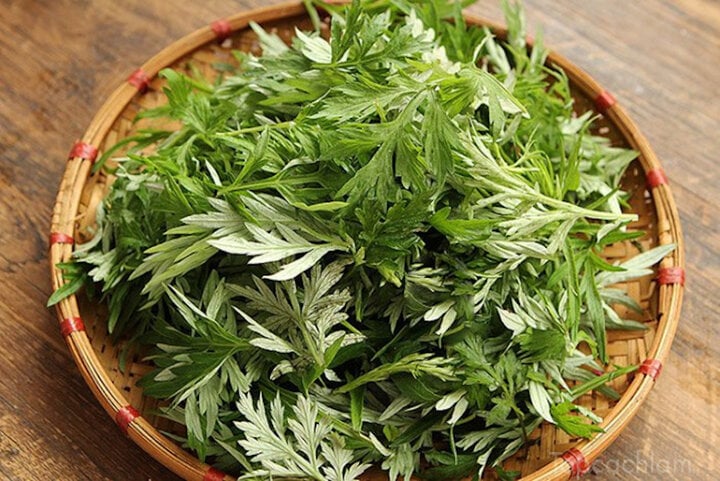 Không nên uống nước ngải cứu trong thời gian dài.