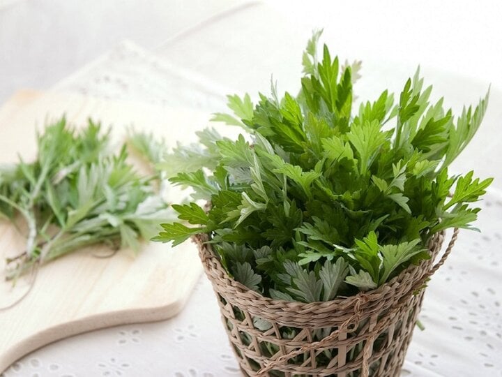 Uống nước ngải cứu hàng ngày tốt không?