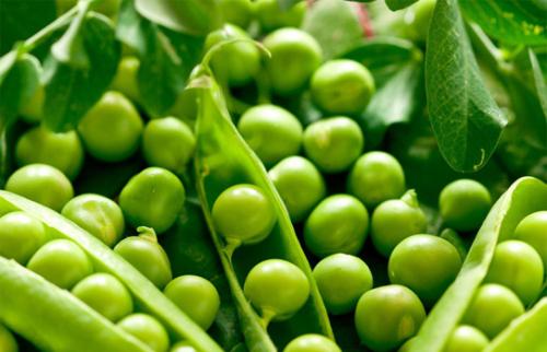 7 thực phẩm đốt cháy chất béo nên ăn khi giảm cân- Ảnh 2.