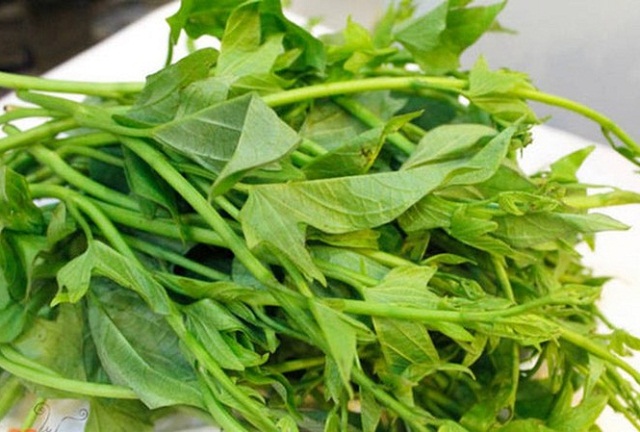 Loại rau rẻ tiền giúp hạ đường huyết, người bệnh tiểu đường ăn theo cách này tốt ngang uống thuốc bổ- Ảnh 2. Loại rau rẻ tiền giúp hạ đường huyết, người bệnh tiểu đường ăn theo cách này tốt ngang uống thuốc bổ- Ảnh 2.