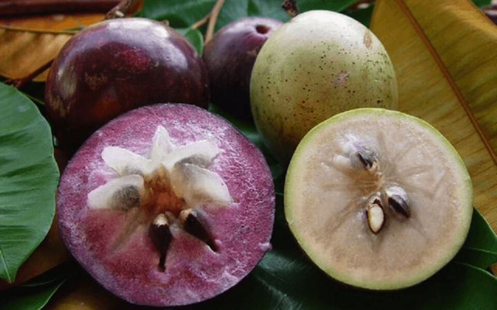 Quả vú sữa chứa nhiều chất dinh dưỡng tốt cho sức khoẻ.