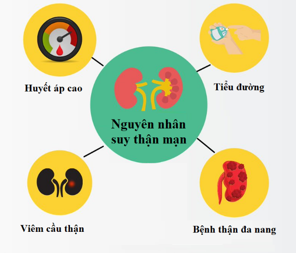 Giải đáp 8 câu hỏi thường gặp về bệnh suy thận- Ảnh 1.