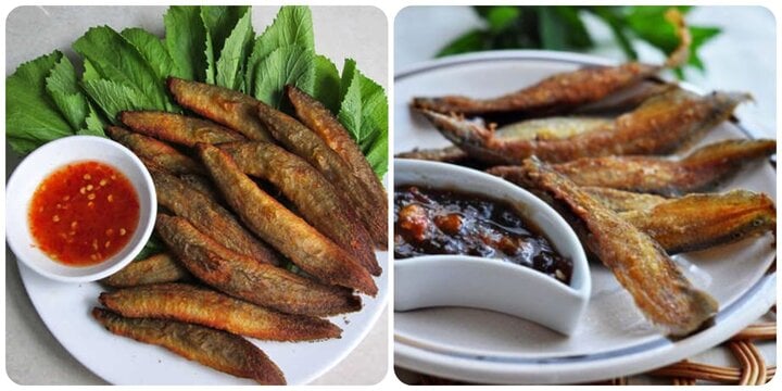 Cá chạch được mệnh danh là "nhân sâm dưới nước"