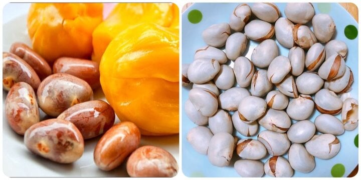 Hạt mít rất tốt cho sức khoẻ