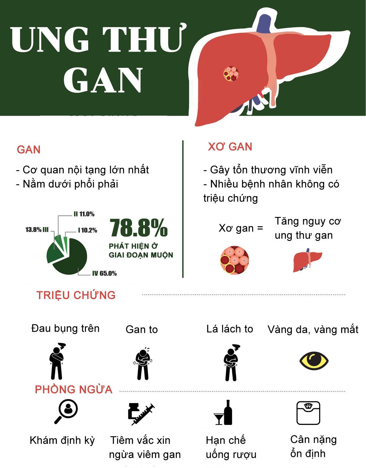 Nhìn vào mắt, phát hiện dấu hiệu ung thư gan - Ảnh 2.