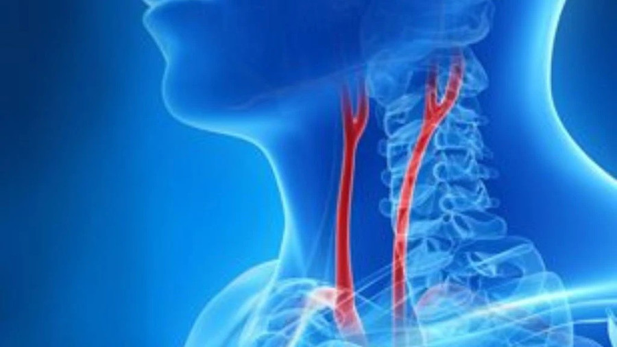 Nguy cơ tử vong từ 'bắt pen' - Ảnh 2.