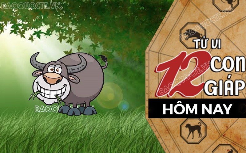 Tử vi hôm nay, xem tử vi 12 con giáp hôm nay ngày 18/12/2024: Tuổi Sửu công việc thành tựu cao Tử vi hôm nay, xem tử vi 12 con giáp hôm nay ngày 18/12/2024: Tuổi Sửu công việc thành tựu cao