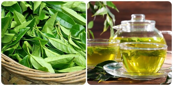 Nước chè xanh là thức uống tốt cho sức khoẻ