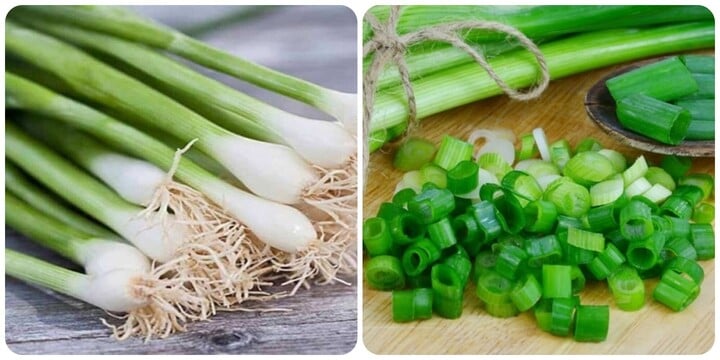 Hành lá là loại rau gia vị rất tốt cho sức khoẻ