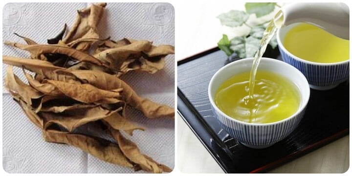 Uống nước vối thường xuyên với một số nhóm người rất tốt cho sức khoẻ