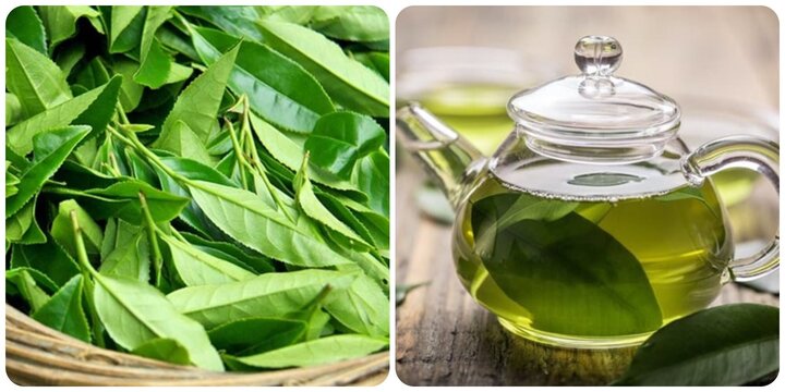 Nước chè xanh nếu sử dụng sai cách có thể gây hại cho sức khoẻ