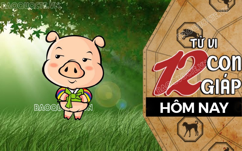 Tử vi hôm nay, xem tử vi 12 con giáp hôm nay ngày 19/1/2025: Tuổi Hợi kinh doanh phát tài Tử vi hôm nay, xem tử vi 12 con giáp hôm nay ngày 19/1/2025: Tuổi Hợi kinh doanh phát tài