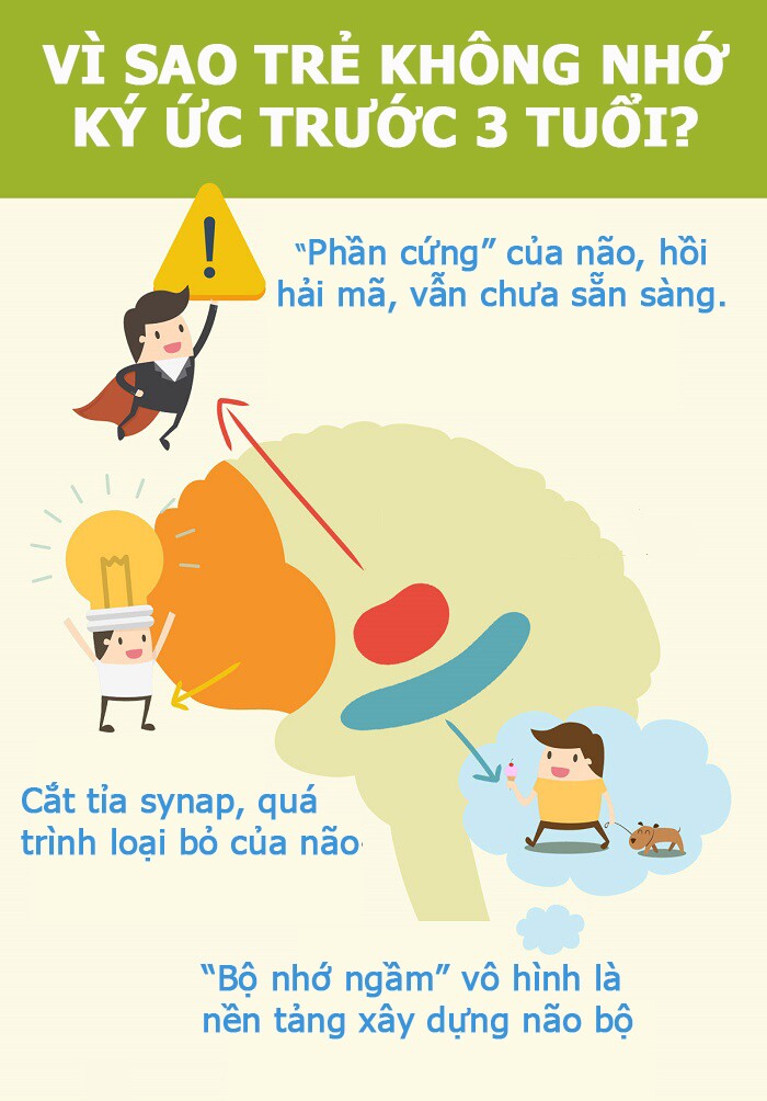 Vì sao trẻ không nhớ ký ức tuổi thơ? Khoa học lý giải sự kỳ diệu của não bộ - 3