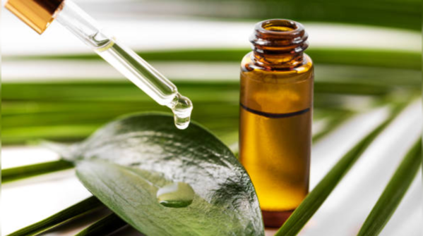 10 loại kháng sinh tự nhiên- Ảnh 2. Dầu cây trà