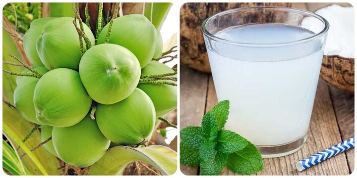 Uống nước dừa buổi sáng rất tốt cho sức khoẻ