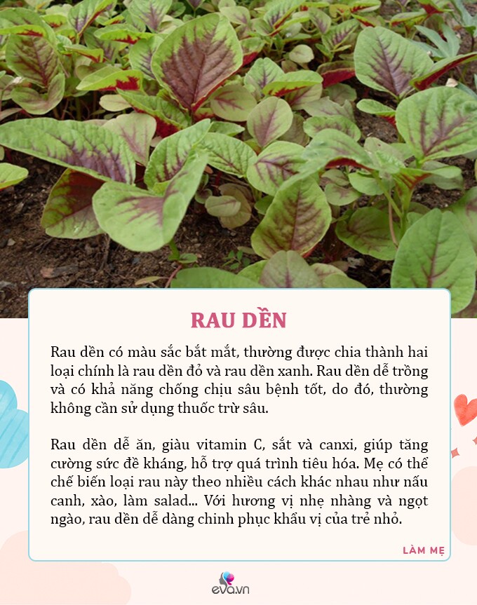 Mùa hè mẹ ra chợ mua ngay 7 loại rau tươi tốt, có dư lượng thuốc trừ sâu bằng 0 cho con ăn an toàn - 2