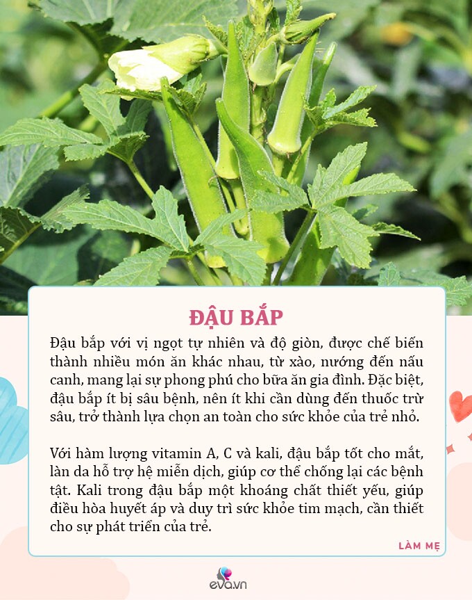 Mùa hè mẹ ra chợ mua ngay 7 loại rau tươi tốt, có dư lượng thuốc trừ sâu bằng 0 cho con ăn an toàn - 3