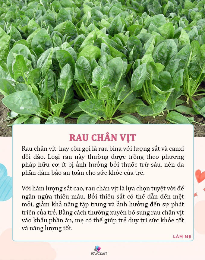 Mùa hè mẹ ra chợ mua ngay 7 loại rau tươi tốt, có dư lượng thuốc trừ sâu bằng 0 cho con ăn an toàn - 4