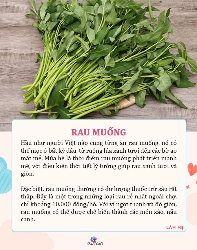 Mùa hè mẹ ra chợ mua ngay 7 loại rau tươi tốt, có dư lượng thuốc trừ sâu bằng 0 cho con ăn an toàn - 5