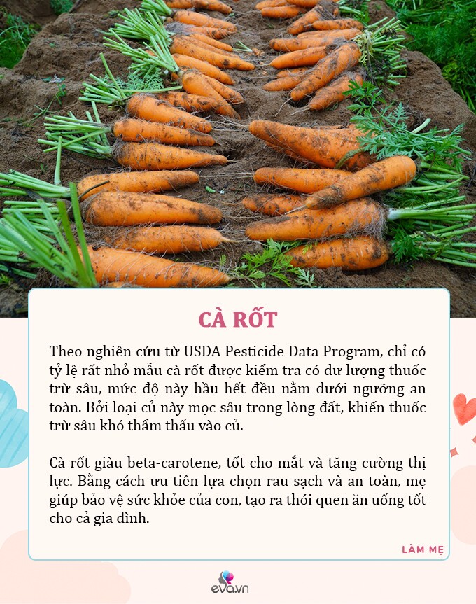 Mùa hè mẹ ra chợ mua ngay 7 loại rau tươi tốt, có dư lượng thuốc trừ sâu bằng 0 cho con ăn an toàn - 7