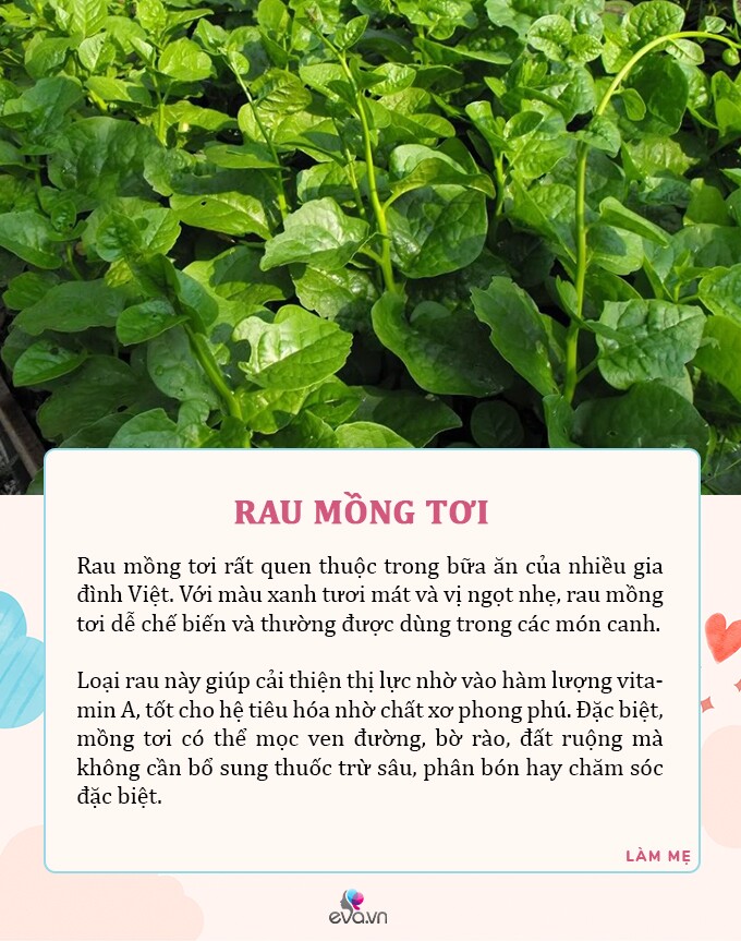Mùa hè mẹ ra chợ mua ngay 7 loại rau tươi tốt, có dư lượng thuốc trừ sâu bằng 0 cho con ăn an toàn - 1