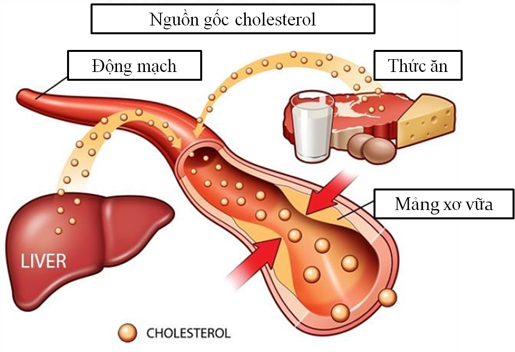 5 loại thực phẩm giúp kiểm soát mức cholesterol- Ảnh 1.