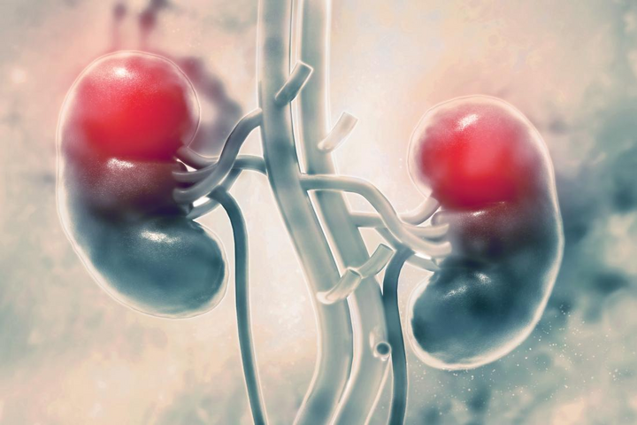 Thận yếu nếu không phát hiện và điều trị sớm sẽ khiến cơ thể tích tụ nhiều chất thải và gây nhiều biến chứng nghiêm trọng đến sức khỏe người bệnh.