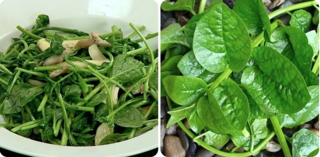 Bất ngờ 4 loại rau củ mùa hè người bệnh suy thận không nên ăn thường xuyên- Ảnh 3.