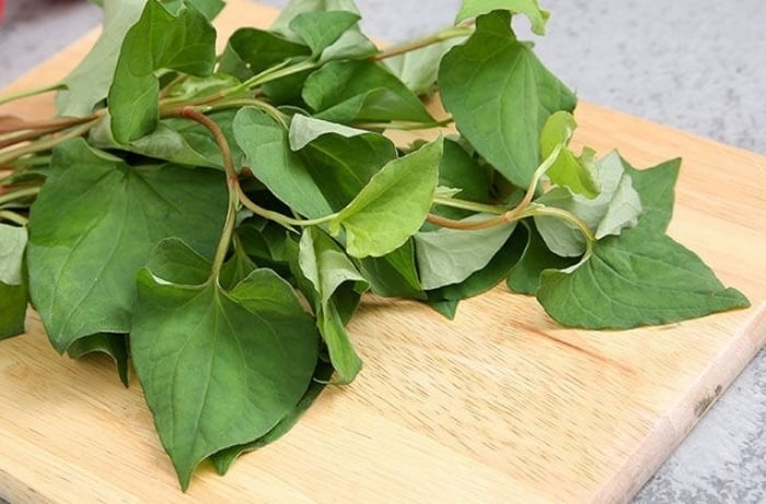 Diếp cá không chỉ là loại rau sống dân dã mà còn được xem như “thần dược” trong y học cổ truyền. (Ảnh minh hoạ)