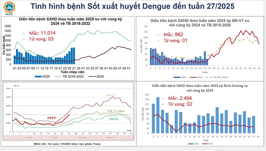 Sốt xuất huyết gia tăng báo động tại TPHCM - Ảnh 2.