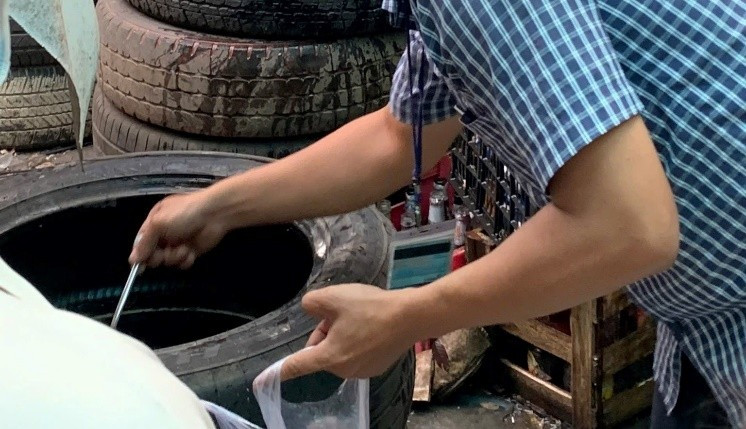 Sốt xuất huyết gia tăng báo động tại TPHCM - Ảnh 1.