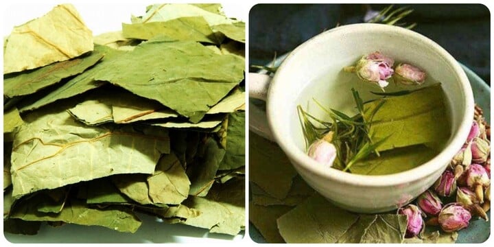 Uống nước lá sen rất tốt cho sức khoẻ
