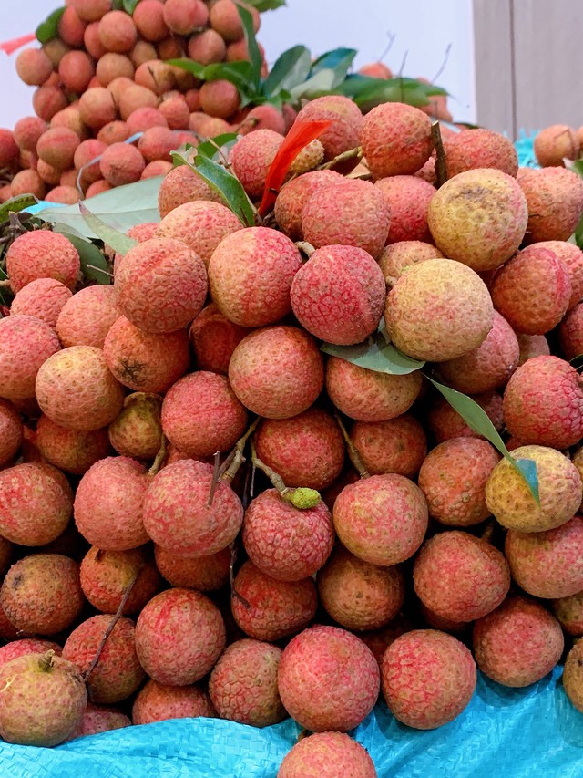 Vải thiều vào cuối vụ giá bán siêu rẻ, chị em truyền nhau bí quyết bảo quản quả vải tươi cả tháng- Ảnh 3.