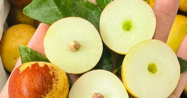 Hồng táo đang bán nhiều ở chợ Việt được ví 'thuốc bổ tự nhiên': Nên ăn hồng táo tươi hay khô mới tốt cho sức khỏe? - Ảnh 3.