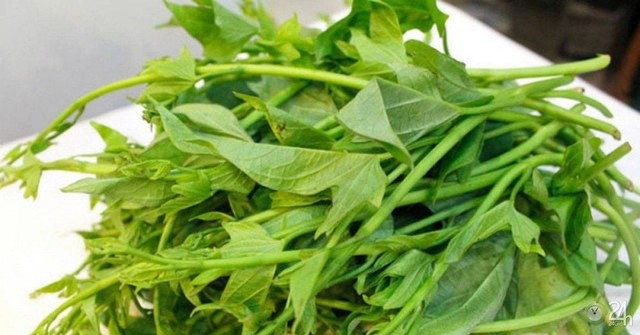 Ra chợ thấy rau này nhớ mua ngay: Thải độc và kiểm soát đường huyết cực tốt, được Mỹ xem như 'báu vật', ở chợ Việt chỉ 10k đủ cả nhà ăn - Ảnh 2.