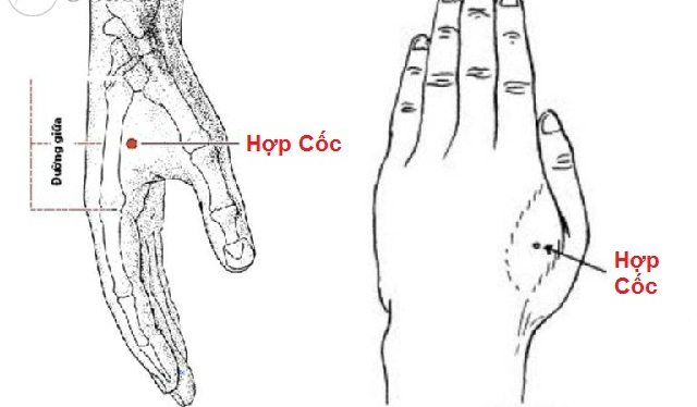 Sáng ngủ dậy bấm huyệt này cơ thể sẽ khỏe mạnh cường tráng- Ảnh 2.