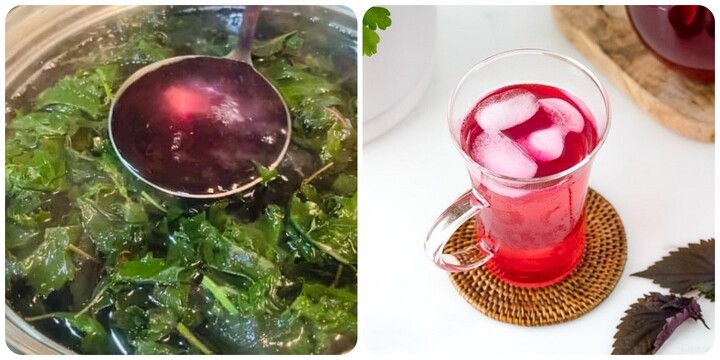 Nước tía tô thêm chanh và đường phèn là thức uống tốt cho sức khoẻ.