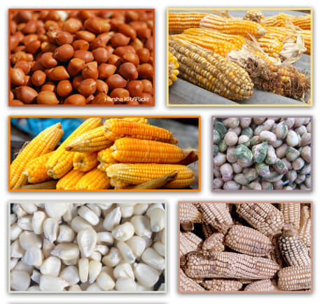 3 loại thực phẩm mà tế bào ung thư 'ưa thích', vì vậy hãy nhớ kiểm soát chế độ ăn uống của mình! - Ảnh 4.