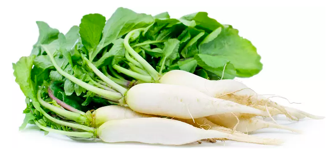 4 loại rau củ cực tốt cho phổi, mùa thu nên ăn nhiều để giải độc, thanh nhiệt, nhuận phổi và trị ho - Ảnh 4.