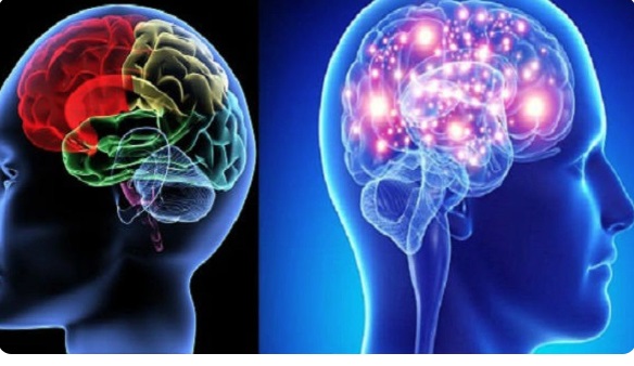 Chữa đau cổ vai gáy suốt 1 năm không khỏi, người phụ nữ 45 tuổi đi khám 'tá hỏa' biết mình mắc u tế bào thần kinh - Ảnh 2.