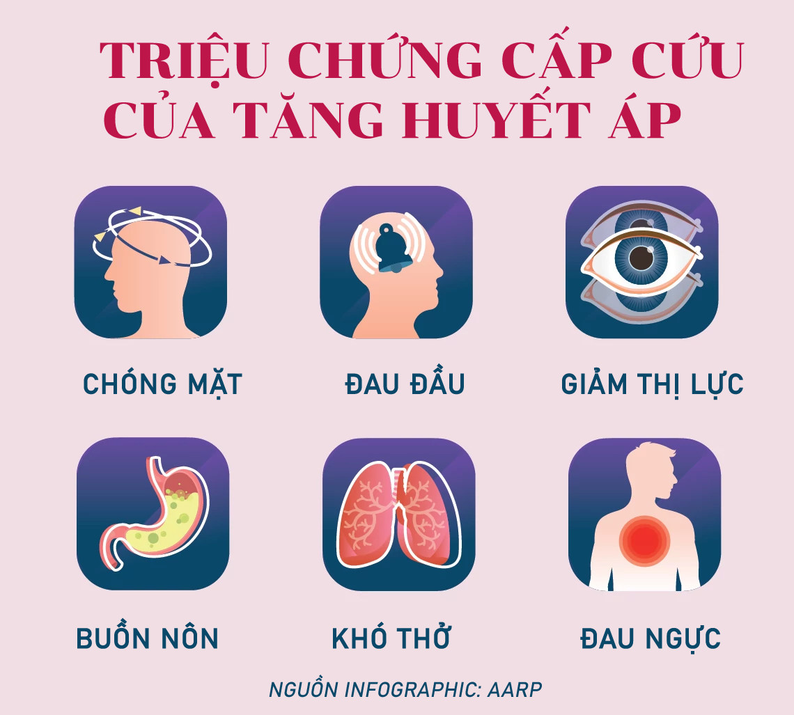 Sai lầm khiến người đàn ông đột quỵ khi ra thăm vườn - Ảnh 2.