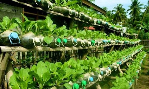 Tiết kiệm thì tiết kiệm, nhưng đừng dùng những loại chai lọ này để đựng thực phẩm nữa, hãy vứt bỏ ngay! - Ảnh 7.