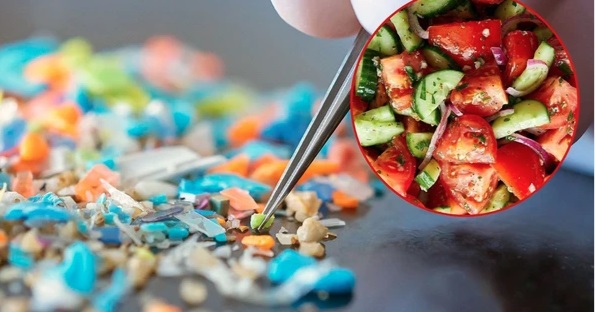 6 thực phẩm chứa nhiều hạt vi nhựa mà người Việt hay ăn hàng ngày: Công bố gây bất ngờ! - Ảnh 8.